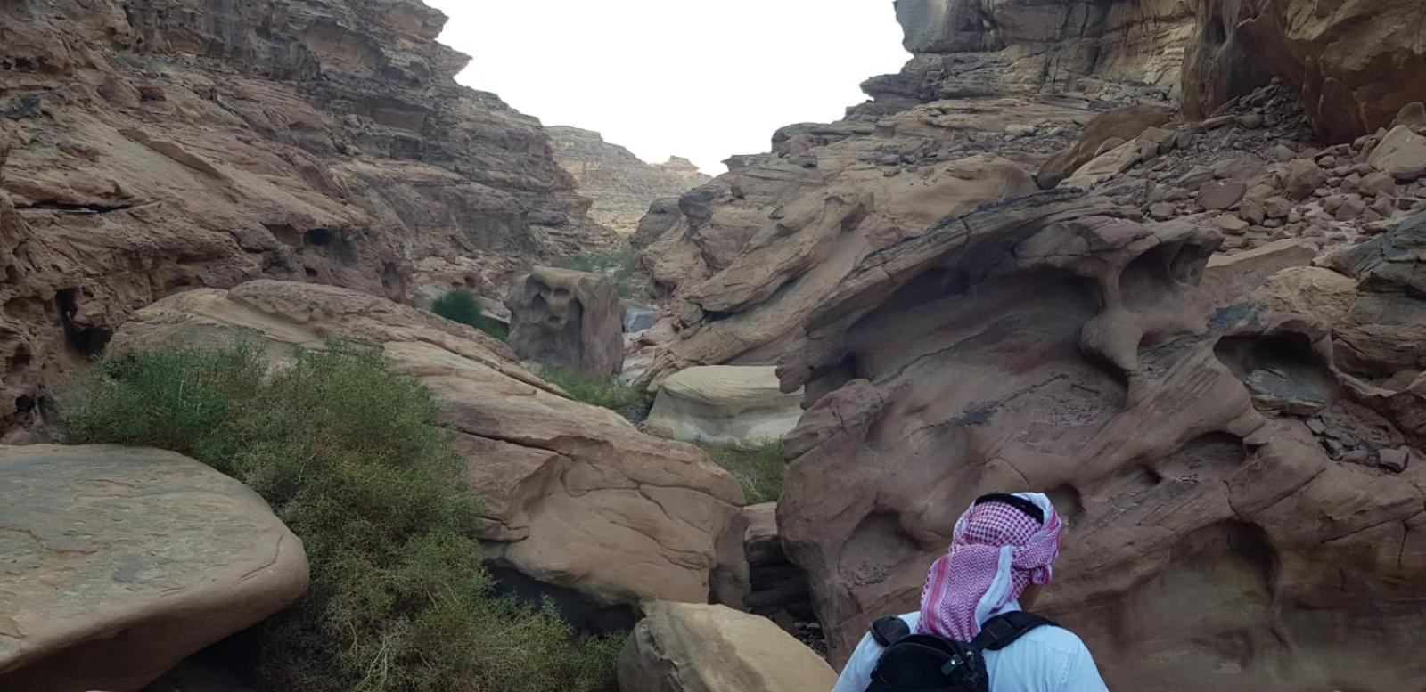 Bedouin Stylelife Camp Hotel Wadi Rum Exterior foto