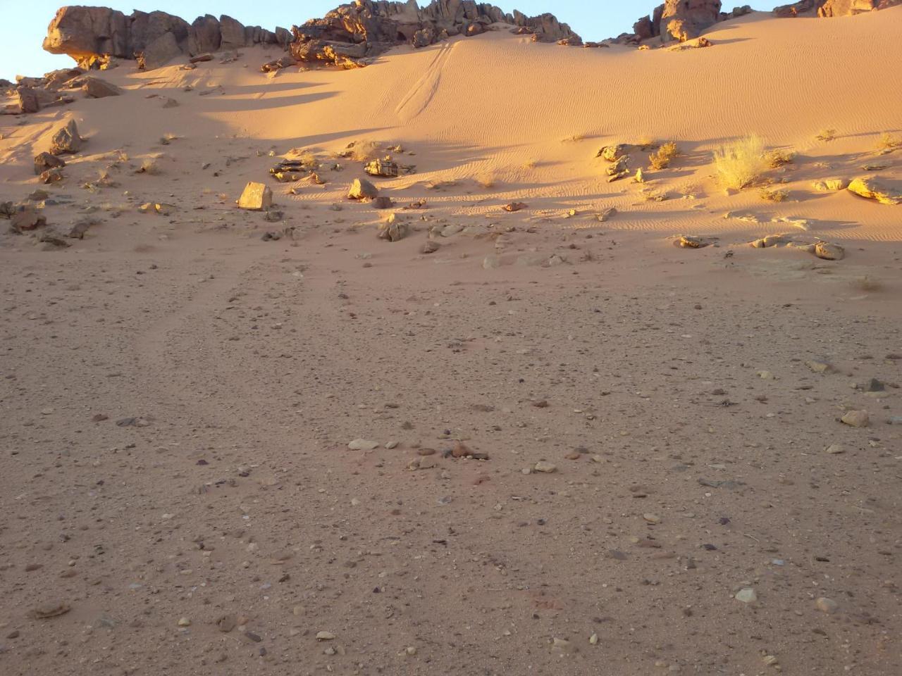 Bedouin Stylelife Camp Hotel Wadi Rum Exterior foto