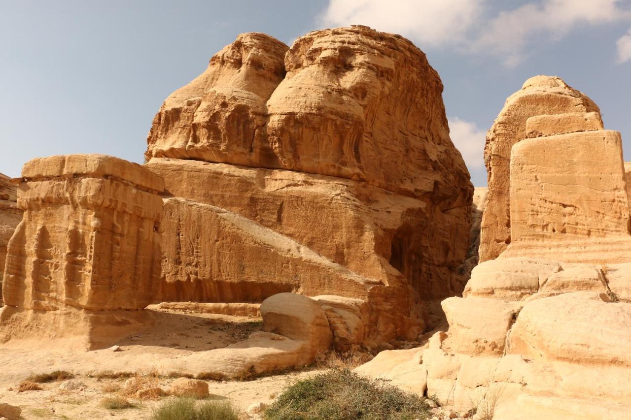 Bedouin Stylelife Camp Hotel Wadi Rum Exterior foto